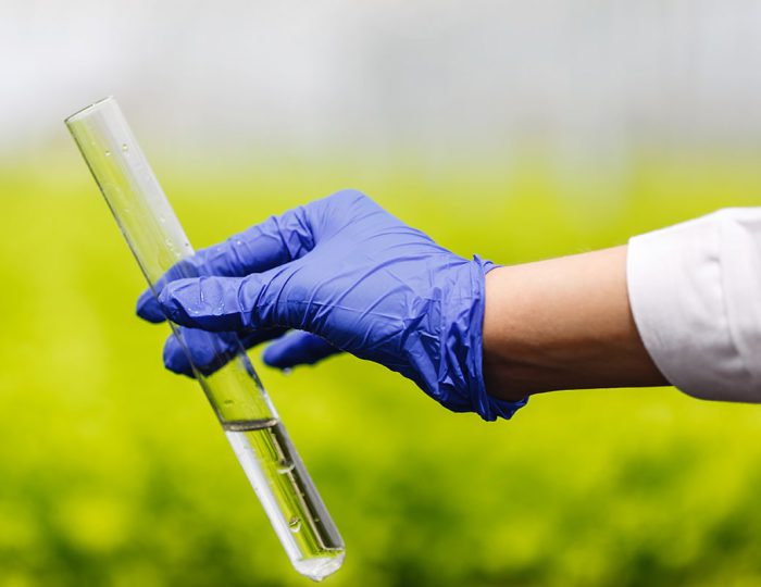RoHS Directive and REACH Regulation: why they are important for the protection of environment and human health