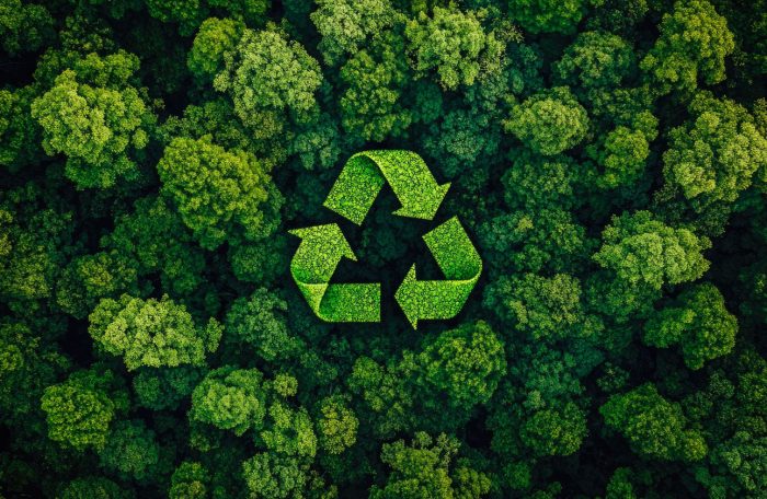 Profili Ecologici in Plastica Riciclata Sostenibilità e Innovazione