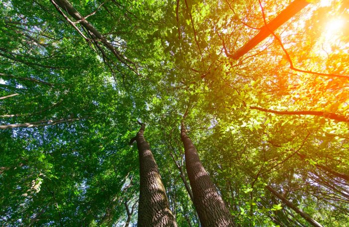 Sustainable plastic production and recycled plastic processing with innovation by VBN