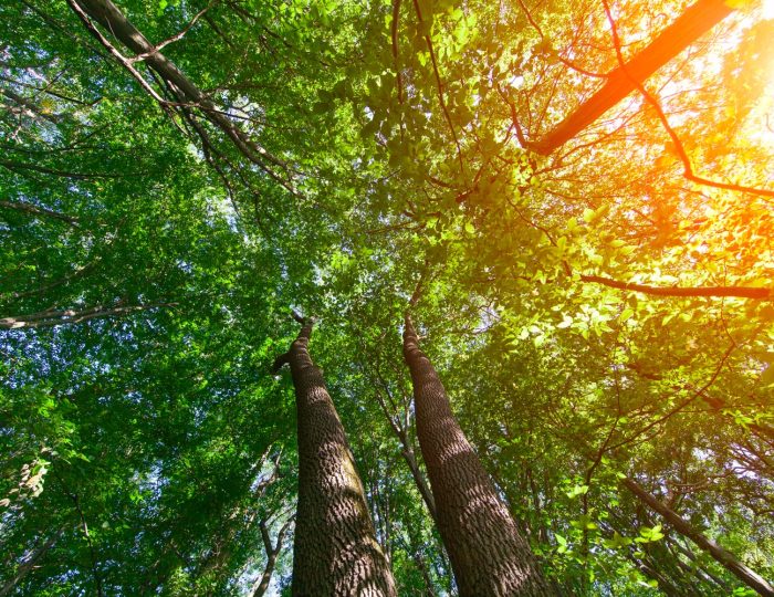 Sustainable plastic production and recycled plastic processing with innovation by VBN
